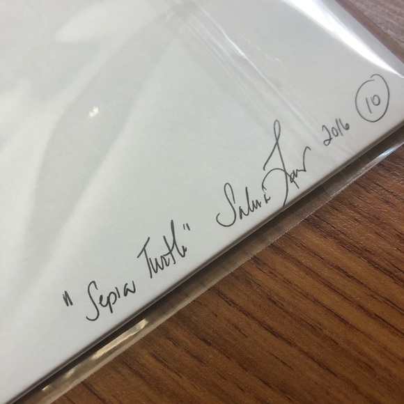 Sepia Turtle Art Print - Picture 2 of 2